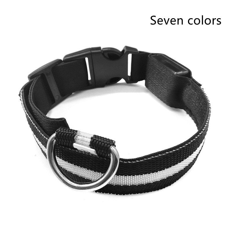 GlowUp LED Pet Collar – Safe Walks, Day or Night