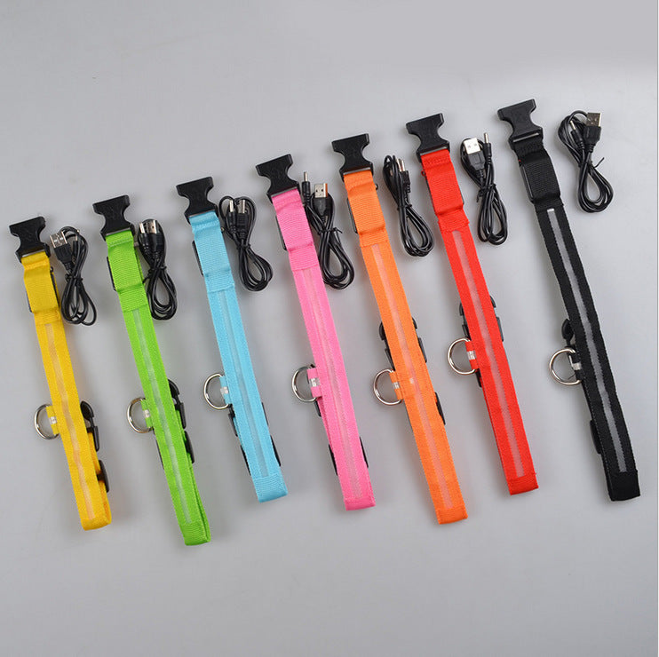 GlowUp LED Pet Collar – Safe Walks, Day or Night