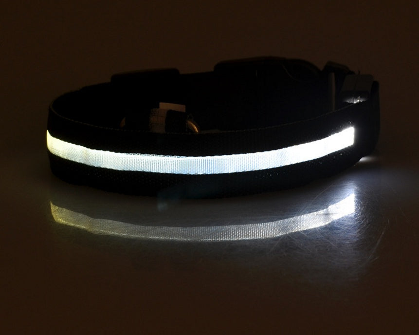 GlowUp LED Pet Collar – Safe Walks, Day or Night