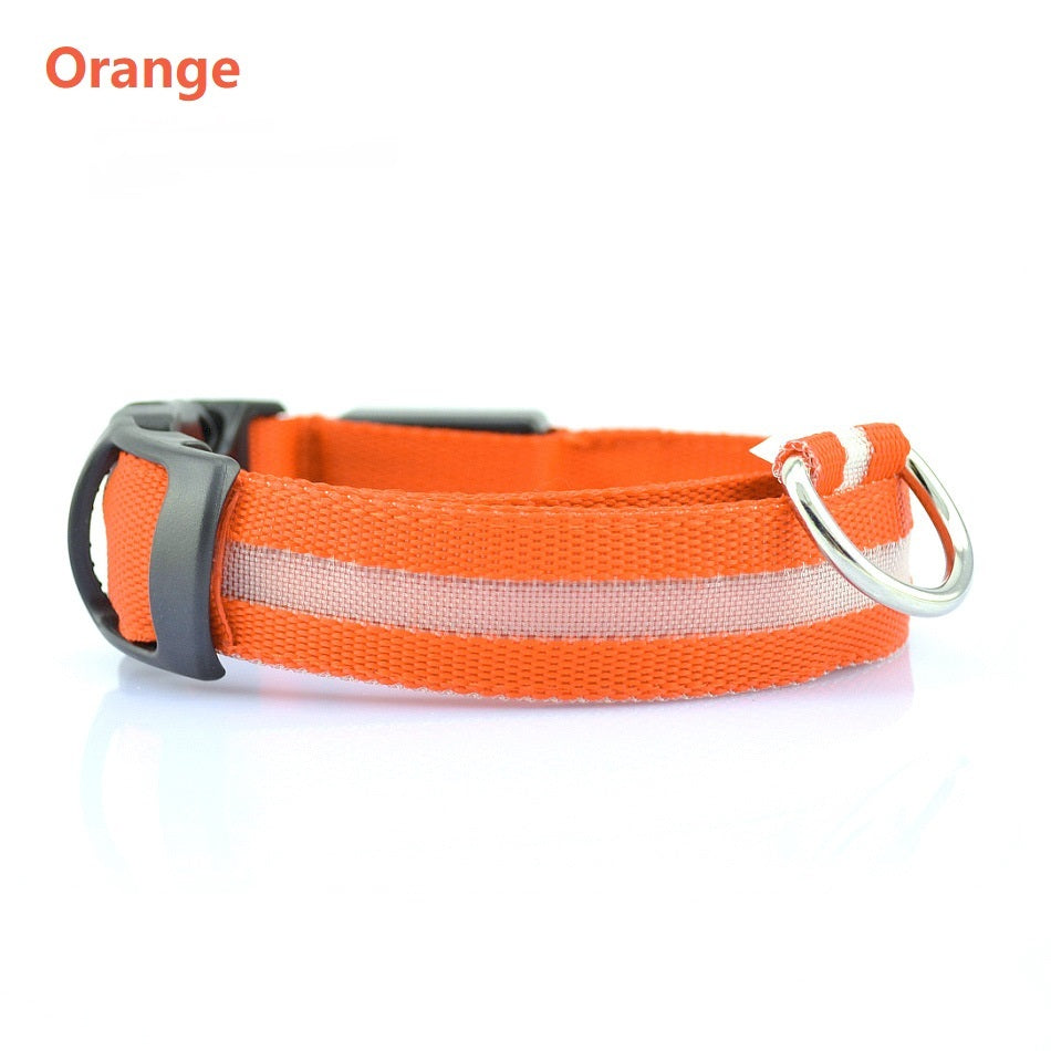 GlowSafe LED Dog Collar – Keep Night Walks Bright & Safe