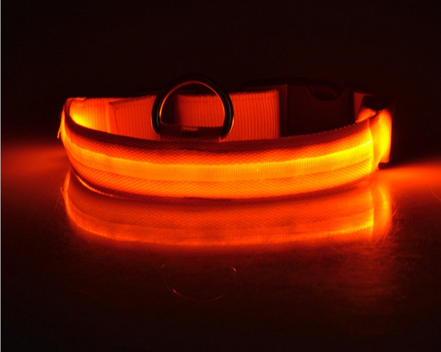 GlowUp LED Pet Collar – Safe Walks, Day or Night