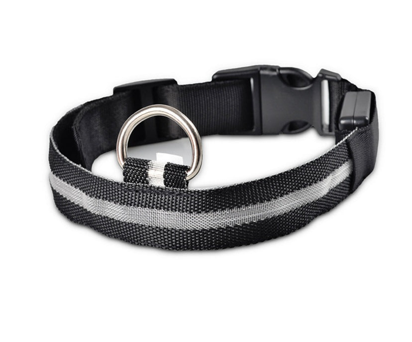 GlowUp LED Pet Collar – Safe Walks, Day or Night