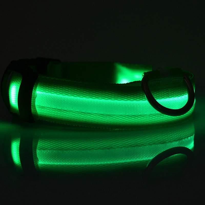 GlowUp LED Pet Collar – Safe Walks, Day or Night