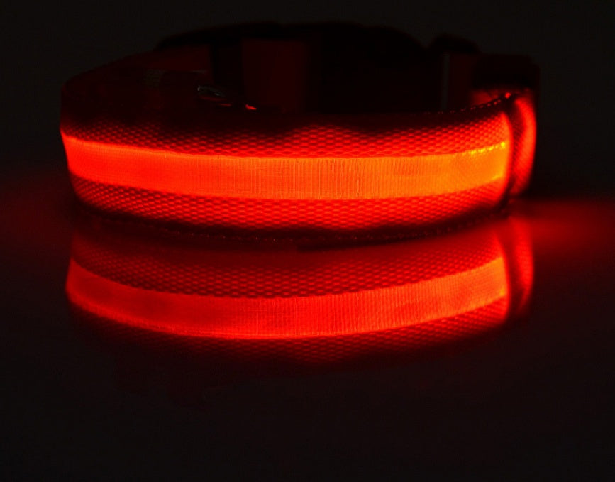 GlowUp LED Pet Collar – Safe Walks, Day or Night