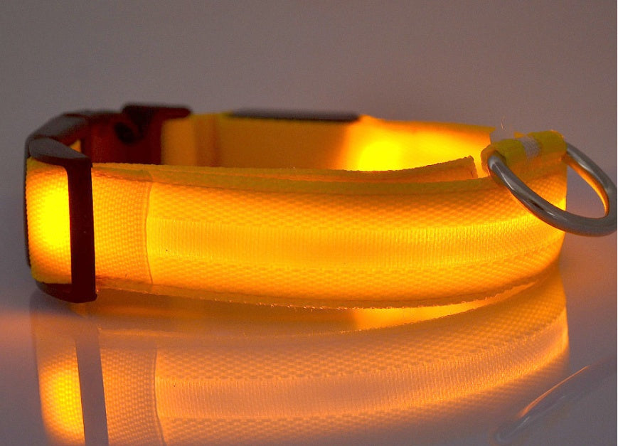 GlowUp LED Pet Collar – Safe Walks, Day or Night