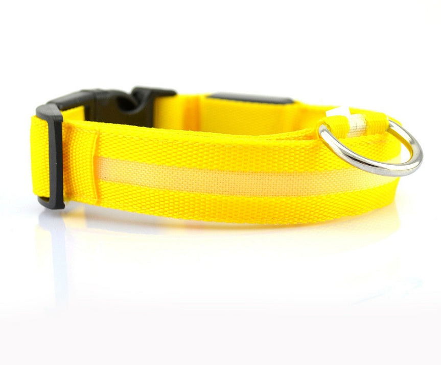 GlowUp LED Pet Collar – Safe Walks, Day or Night