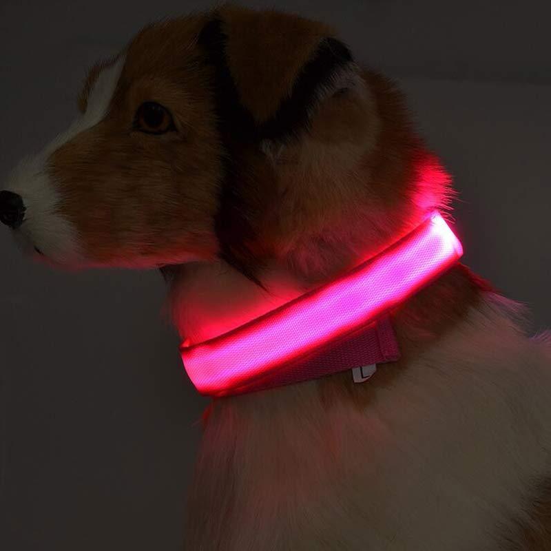 GlowUp LED Pet Collar – Safe Walks, Day or Night