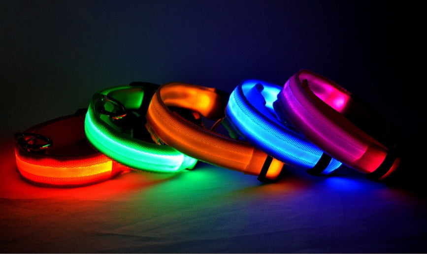 GlowUp LED Pet Collar – Safe Walks, Day or Night