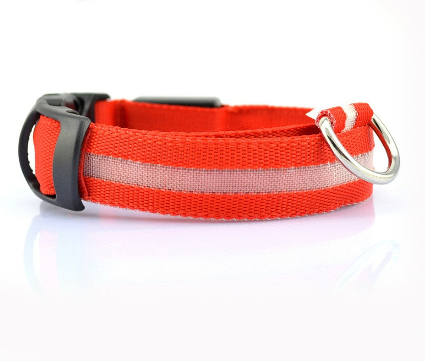 GlowUp LED Pet Collar – Safe Walks, Day or Night