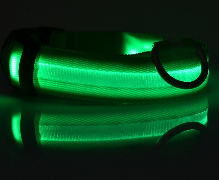 GlowUp LED Pet Collar – Safe Walks, Day or Night