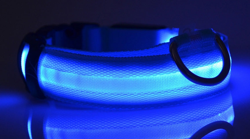 GlowUp LED Pet Collar – Safe Walks, Day or Night
