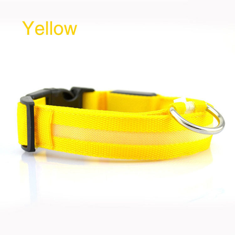 GlowSafe LED Dog Collar – Keep Night Walks Bright & Safe