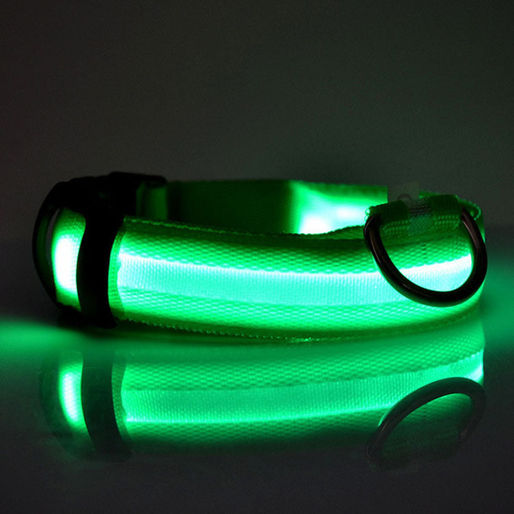 GlowSafe LED Dog Collar – Keep Night Walks Bright & Safe